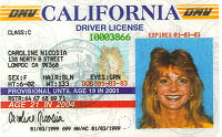 Sacramento Drivers License